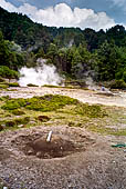Azzorre - Isola Sao Miguel, Furnas. Le fumarole nei pressi del Lago di Furnas. 